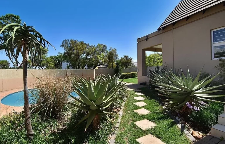 A backyard with a small circular pool, various succulents, stepping stones leading to a covered patio area, and a clear blue sky above.